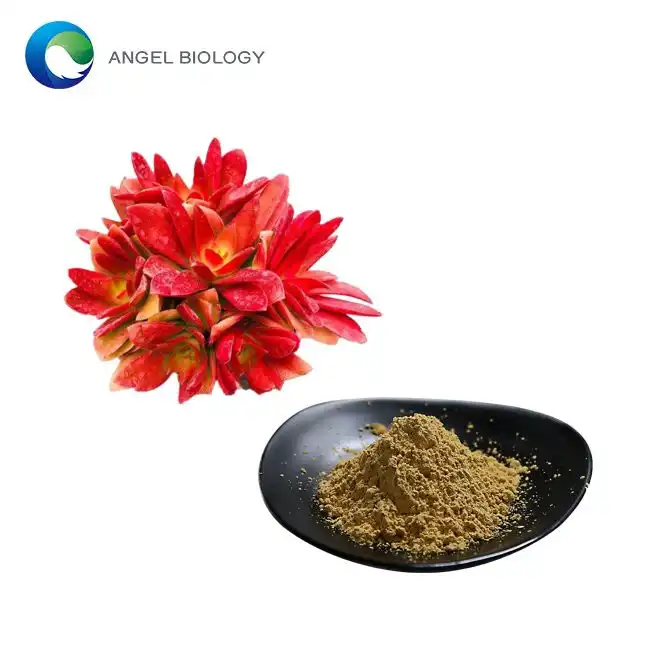 3 Ways Rhodiola Rosea Extract Powder Enhances Cognitive Function